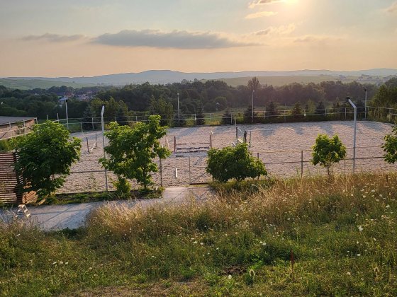 Продається домашня конюшня Чернівці