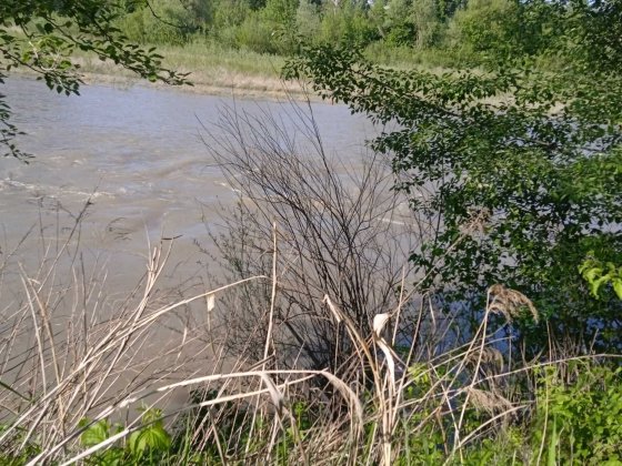 Продам недобудовану дачу в Садках,перша лінія до Прута. Чернівці
