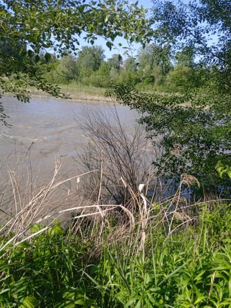 Продам недобудовану дачу в Садках,перша лінія до Прута. - фото 1