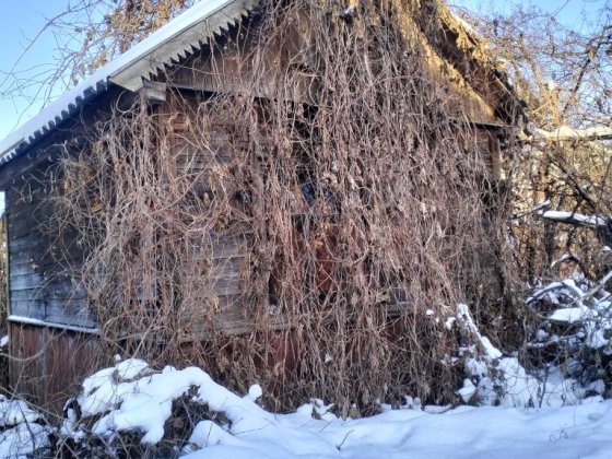 ДАЧНА ділянка на Єськова Чернігів