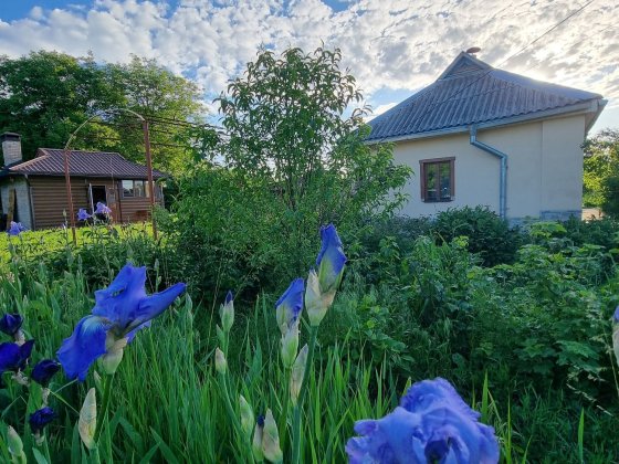 Мачухи, окремий, затишний будинок з шикарною альтанкою та зоною барбек Мачехи