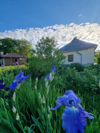 Мачухи, окремий, затишний будинок з шикарною альтанкою та зоною барбек - фото 1