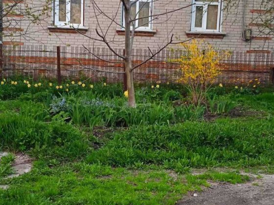 Продаж дома Путивль 76,6  кв.м. + земля и дом в Кононенково Путивль