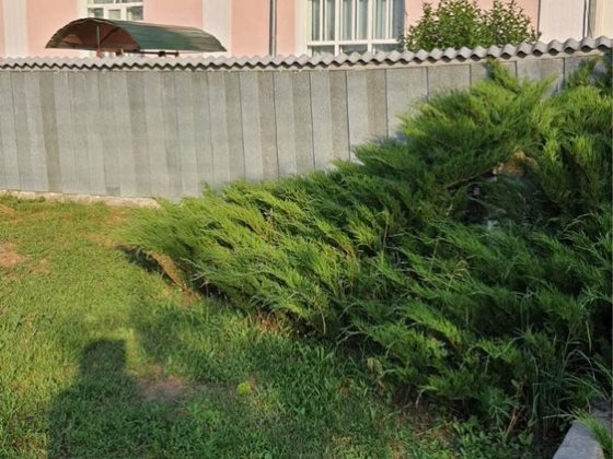 Продаю будинок з ділянкою землі Кролевець