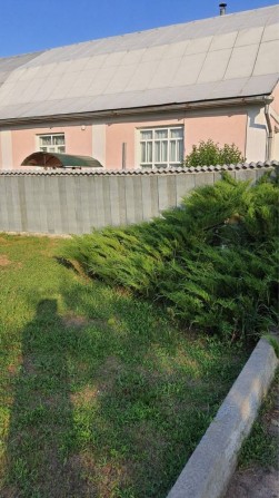 Продаю будинок з ділянкою землі - фото 1