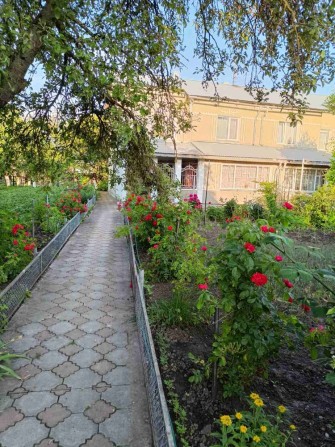 Будинок в м.Збараж продаж - фото 1