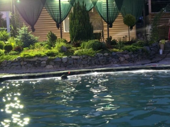 Продам будинок з ремонтом, та сучасними технологіями. Богодухів