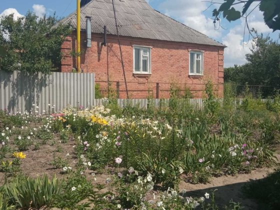 Продам будинок в Богодухові Богодухів