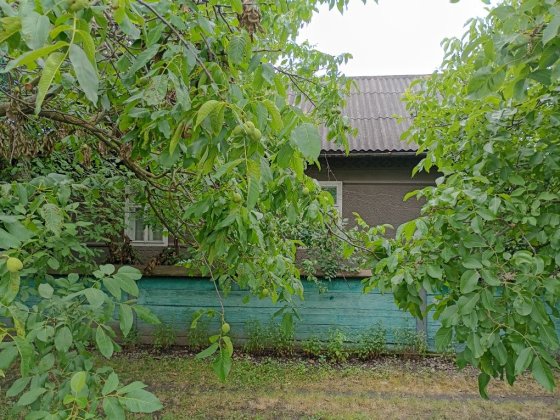 Продам будинок в Чернівецькій області Чернівці