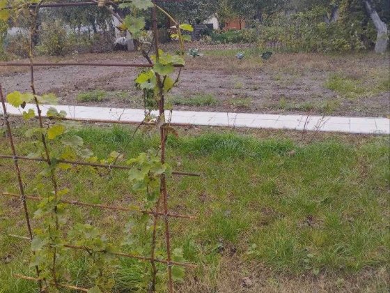 Продам дачу в м. Чернігів вул. Михайлевича(біля обл. лікарні) 4 сот. Чернігів