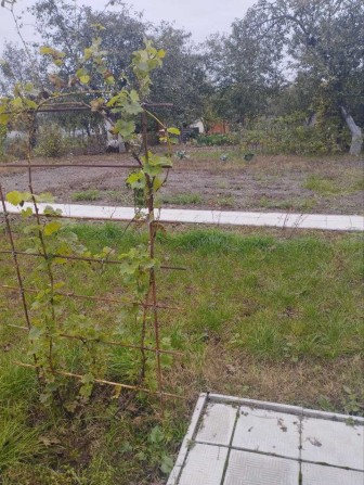 Продам дачу в м. Чернігів вул. Михайлевича(біля обл. лікарні) 4 сот. - фото 1