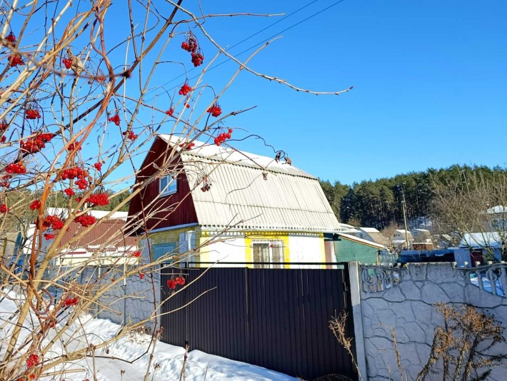 Дача, яка працює 365 днів на рік! - фото 1