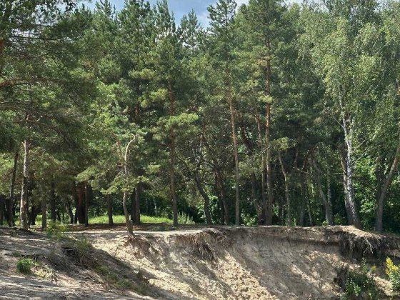 Продаж дачі в живописному місці біля річки та лісу, СТ «Механізатор» Чернігів