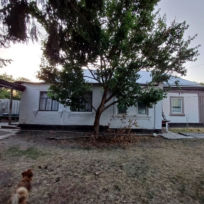 Продаж будинку з великою земельною ділянкою та вихідом на річку - фото 1