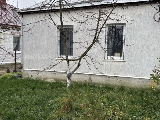 Продам будинок у центрі Васищева Васищеве