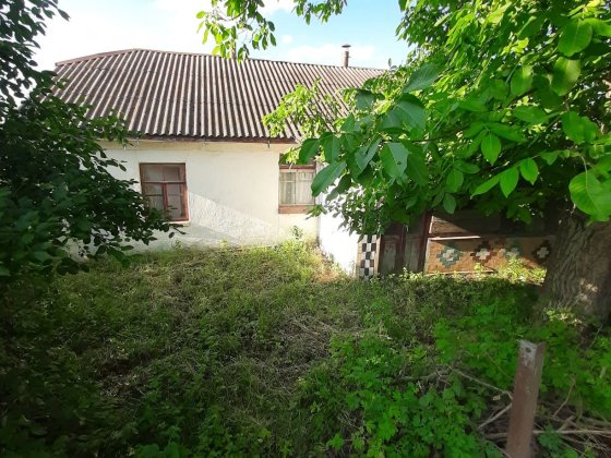 Продам будинок хату Красилів