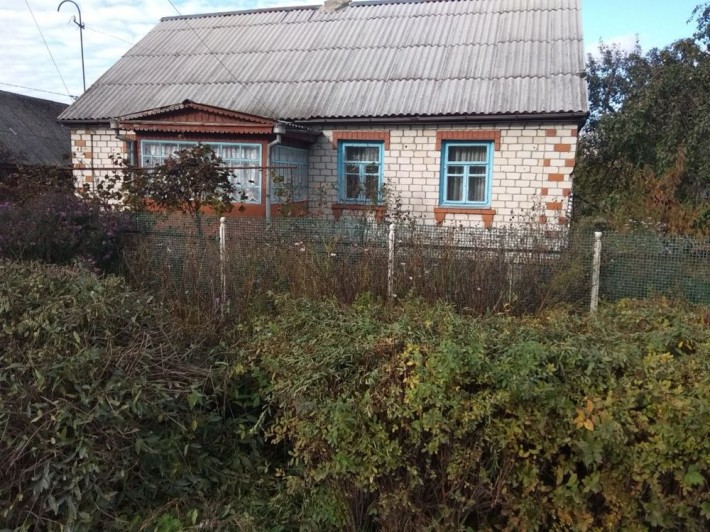 Приватний будинок Полонне - фото 1