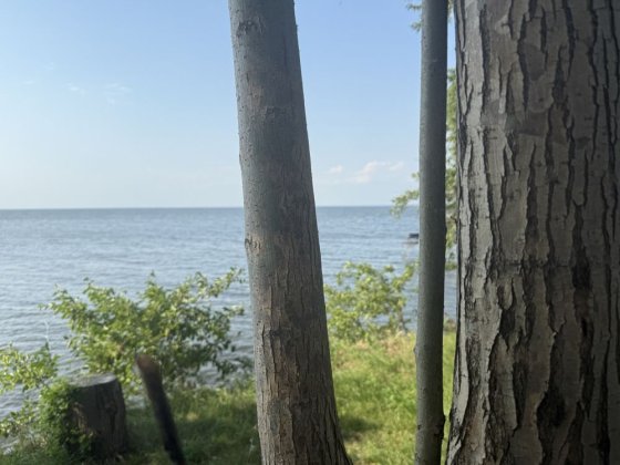 Дача кооператив Дніпро Красная Слобода