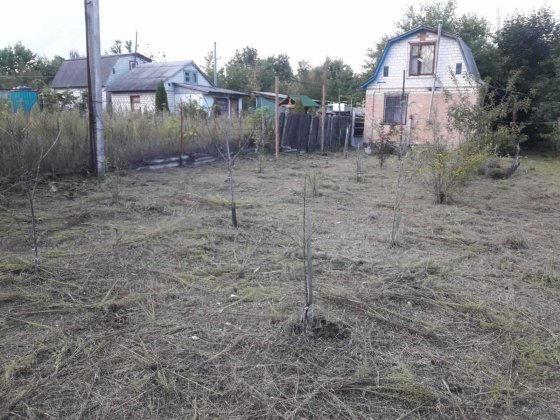 Продам затишну дачу с.Свидівок, СТ"Лісовий" Свидівок