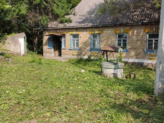 Дім в селі Селище, Черкаська область ТОРГ Корсунь-Шевченковский