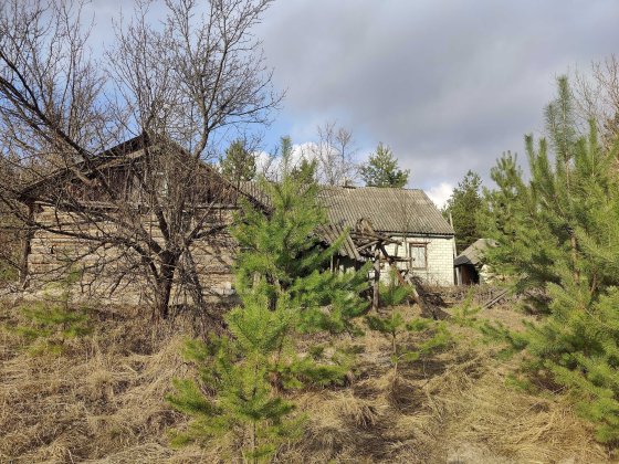 Продаж земельної ділянки з будинком під реконструкцію в с. Свидівок Свидівок