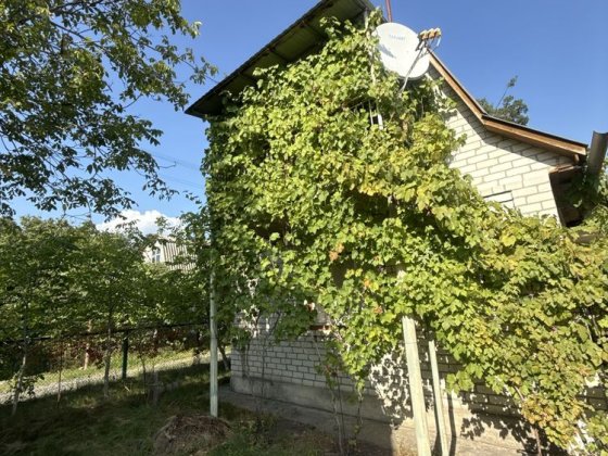 Продаж дачного будиночку в СК «Дружба» Свидивок