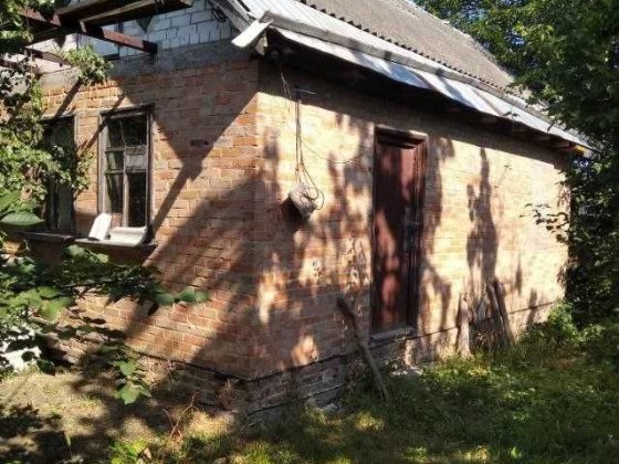 Приватний будинок в с. Благодатне Благодатное