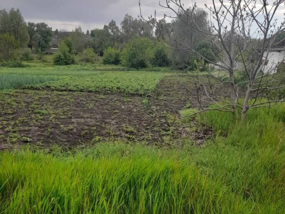 Приватизоване подвірʼя