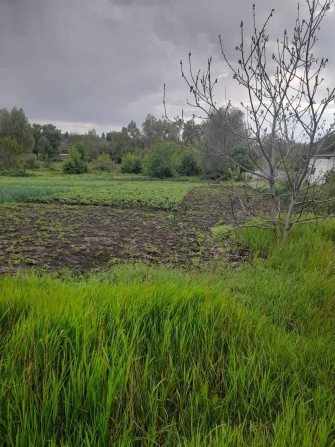 Приватизоване подвірʼя - фото 1