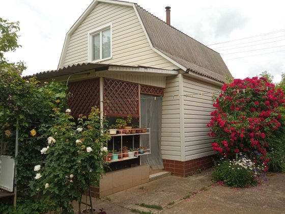 Продаж дачного будинку у садовому товаристві «Водник» Лозивок