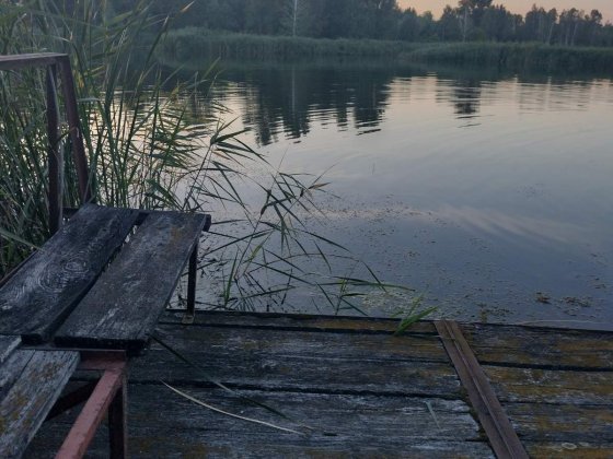 Продам дачу в Лозівку Лозивок