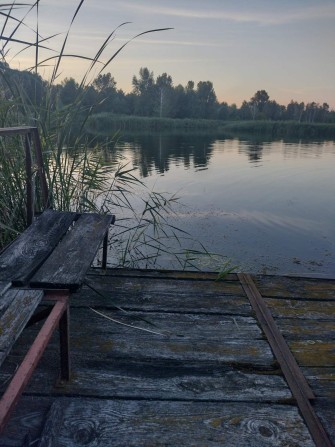 Продам дачу в Лозівку - фото 1