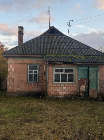 Будинок 20 хвилин від Черкас мальовниче село - фото 1