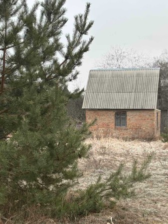 Дача в Березанці, ст Мрія - фото 1