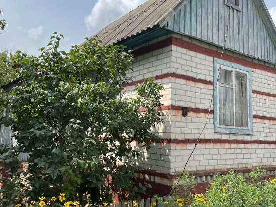 Дача Садове Товариство «Родник» Жавинка Жавинка