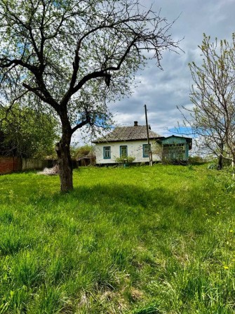 Добротна хата біля річки, смт Ріпки! A11 - фото 1