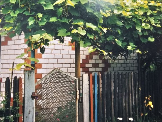 Дача, земельна ділянка, можливий торг Чернігів