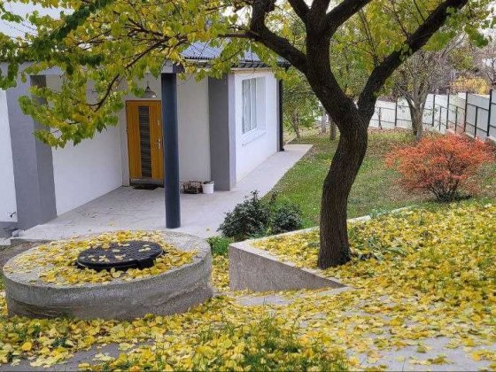 Будинок з ремонтом, біля лісу та озера, Бортничі. Киев