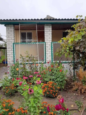 Продам будинок в с. Ладан - фото 1