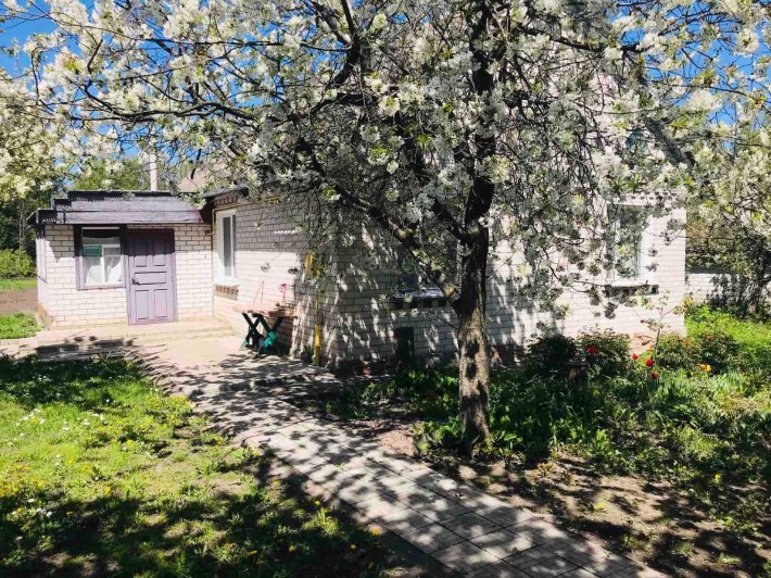 Продам власний будинок в селі Нова Басань - фото 1