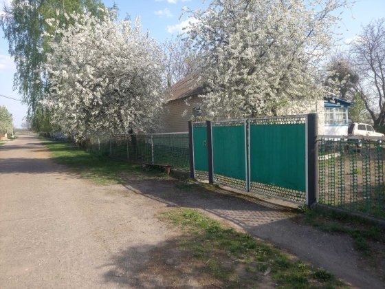 Продам будинок с.Нова Басань Новая Басань