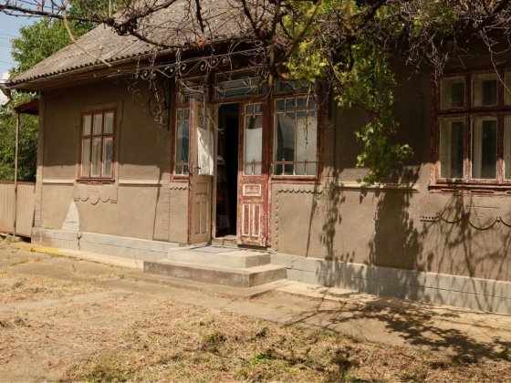 Житловий будинок в Зеленому Гаї Новоселиця