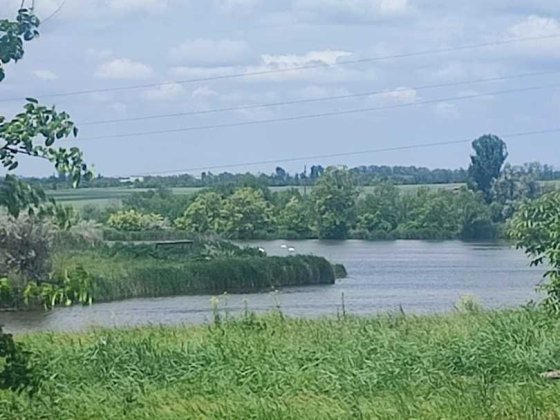 Продам дом 12 км.от Шевченк.р. 200 м от воды! Вільнянськ