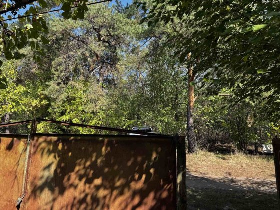 Продам Дом. Каменское Л/Б. Куриловка. Петриковский район. Лес Рядом!