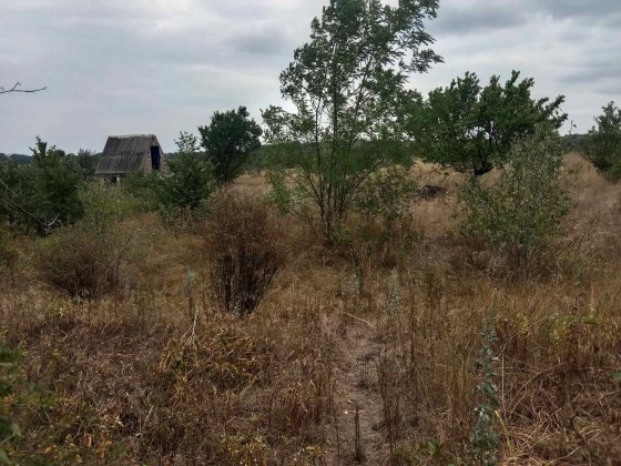Домик в Куриловке и участок 30соток