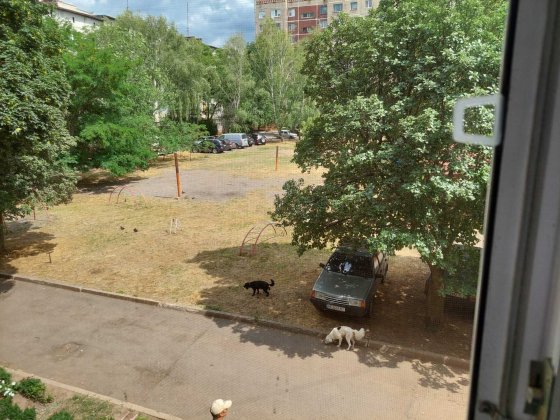 Однокімнатна квартира, другий поверх.