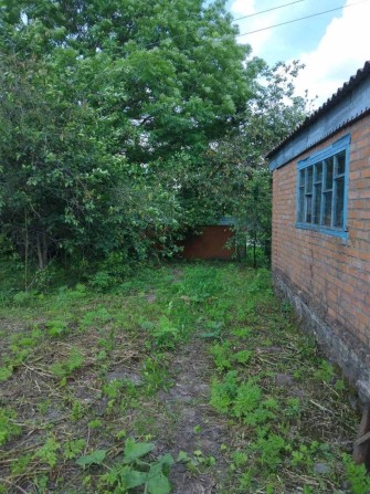 Будинок в селі щастлива - фото 1