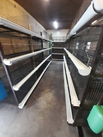 Будинок з бізнесом - фото 1