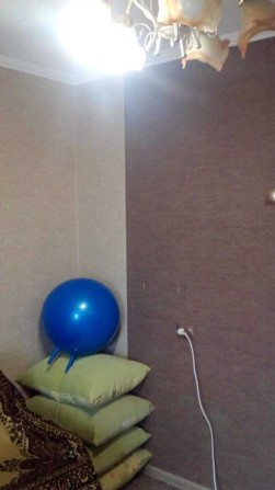 Сдам срочно 1к кв  р-н Сильпо порядочному парню или паре.Пишите вайбер - фото 1