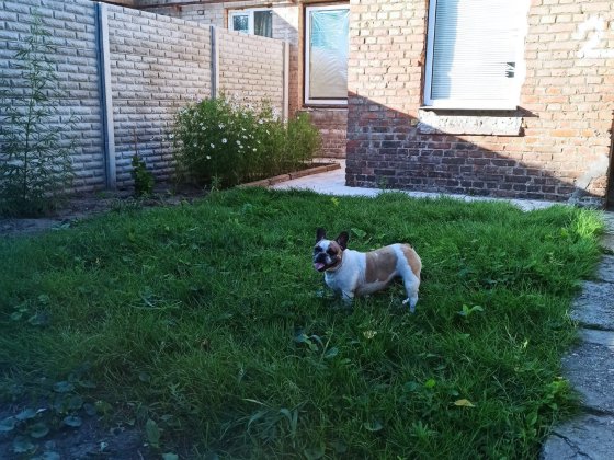 Частина будинку Бородинський р-н Запоріжжя